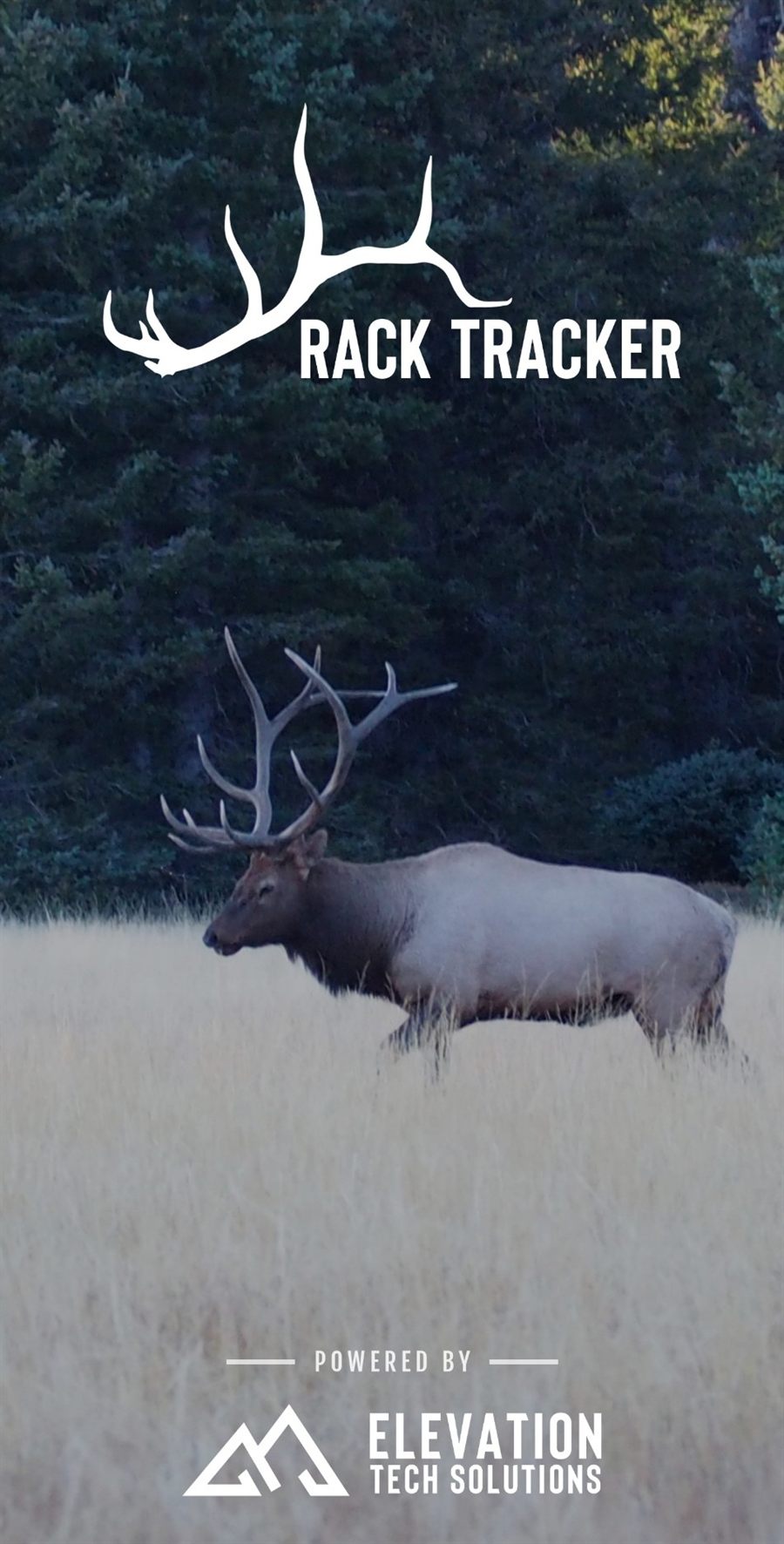 Rack Tracker — a bull elk in a meadow beneath the Rack Tracker logo