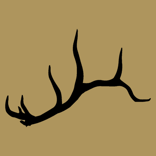 Rack Detector